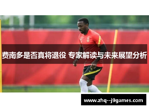 费南多是否真将退役 专家解读与未来展望分析