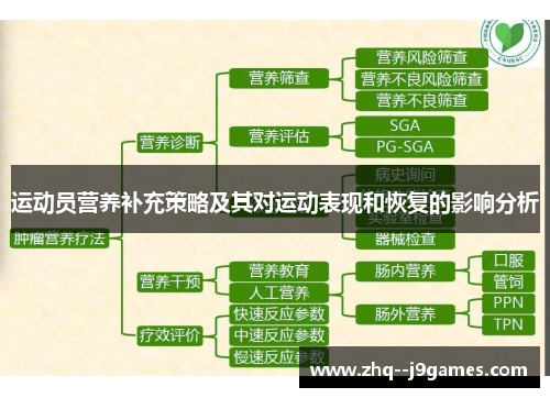 运动员营养补充策略及其对运动表现和恢复的影响分析 运动员营养补充策略及其对运动表现和恢复的影响分析